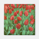 Search for spring bloom magnets Nobody