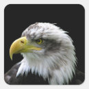Search for state bird stickers America