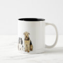 Search for sitting cat mugs Domestic animals