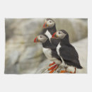 Search for canada tea towels Atlantic ocean