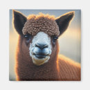 Search for alpaca magnets Brown
