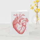 Search for anatomically cards Red