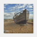 Search for seashell pictures magnets Coast