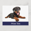 Search for rotty postcards Miss you