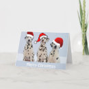 Search for dalmatian christmas cards Dog