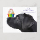 Search for labs horizontal postcards Black labrador retriever