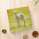 Search for sheep binders Livestock