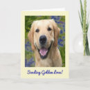 Recherche de golden retriever get well cards Mignon