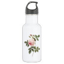 Recherche de indica Rose