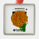 Search for marigold ornaments Flower