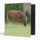Search for chestnut binders Equine