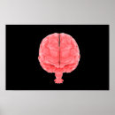 Search for nervous art Medical