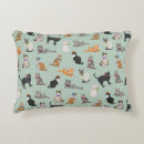 Recherche de chat minou coussins Minous