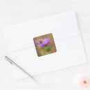 Recherche de pollen autocollants Floral