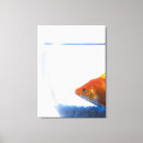 Recherche de cuvette de poissons Bocal à poissons