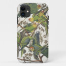 Search for parakeet iphone cases Bird