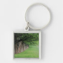 Search for kentucky state tree Countryside