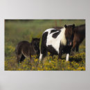 Search for maree posters Flowers