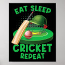 Search for cricket field posters Bowler