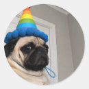 Recherche de têtu autocollants Amoureux des chiens