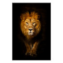 Recherche de de lion posters Royaume animal