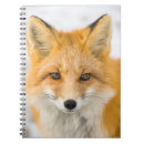 Search for fox notebooks Arctic