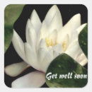 Recherche de fleur nénuphar autocollants Fleurs