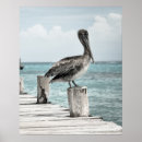 Recherche de oiseau mer posters Sauvage