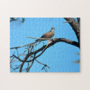 Search for wild bird puzzles Wildlife