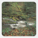 Search for north river stickers Usa