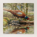 Recherche de faisans puzzles Nature