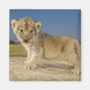 Recherche de panthera maison deco L'afrique