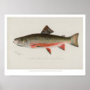 Recherche de truite ruisseau posters Vintage