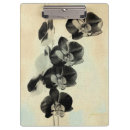 Search for clip photography Flowers