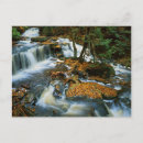 Search for large format cards Charles gurche