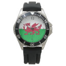 Search for welsh dragon Cardiff