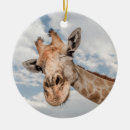 Recherche de girafe drôle ornements Noël