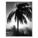 Recherche de tempête tropicale posters Vagues