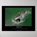 Recherche de beauty posters White