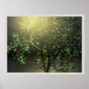 Recherche de arbre japonais posters Nature