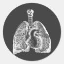 Search for vintage anatomy stickers Lungs