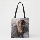 Search for dappled bags Cute baby animal