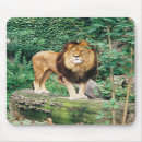 Search for lion mousepads Africa