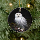 Search for snowy white owl ornaments Bird