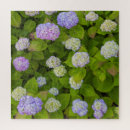 Recherche de hydrangea puzzles Lavande