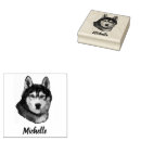 Recherche de siberian husky Chiot