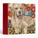 Search for pets binders Golden retriever