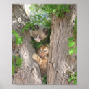 Recherche de cimetière posters Chatons