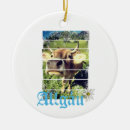 Search for beef ornaments Cow