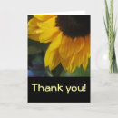 Search for closeups cards Flowers